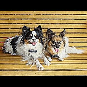 Meet your Posher, Sandra